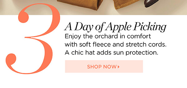 Shop the October Collection