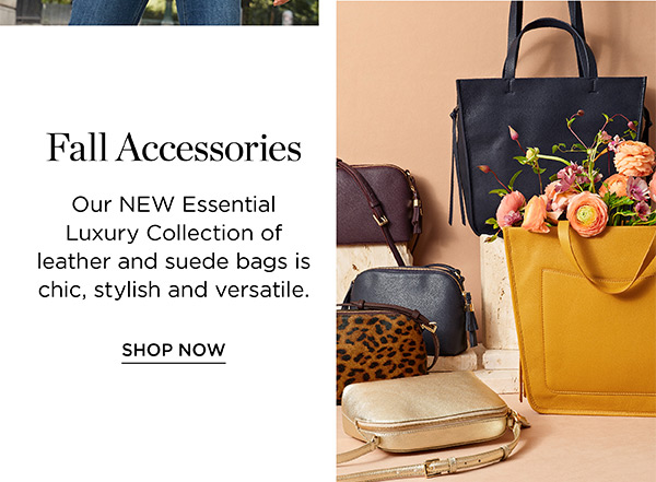 Shop Accessories