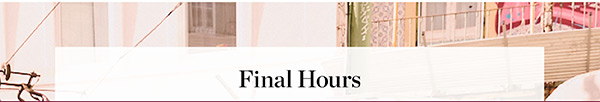 Final Hours