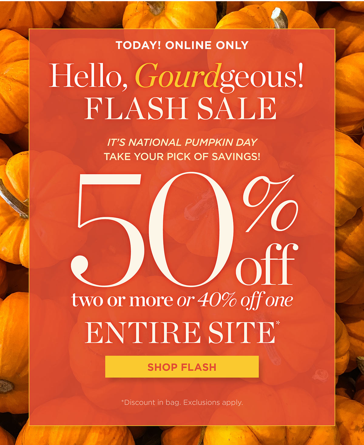 Today, Online Only! 50% off two or more or 40% off one Entire Site | Shop Flash